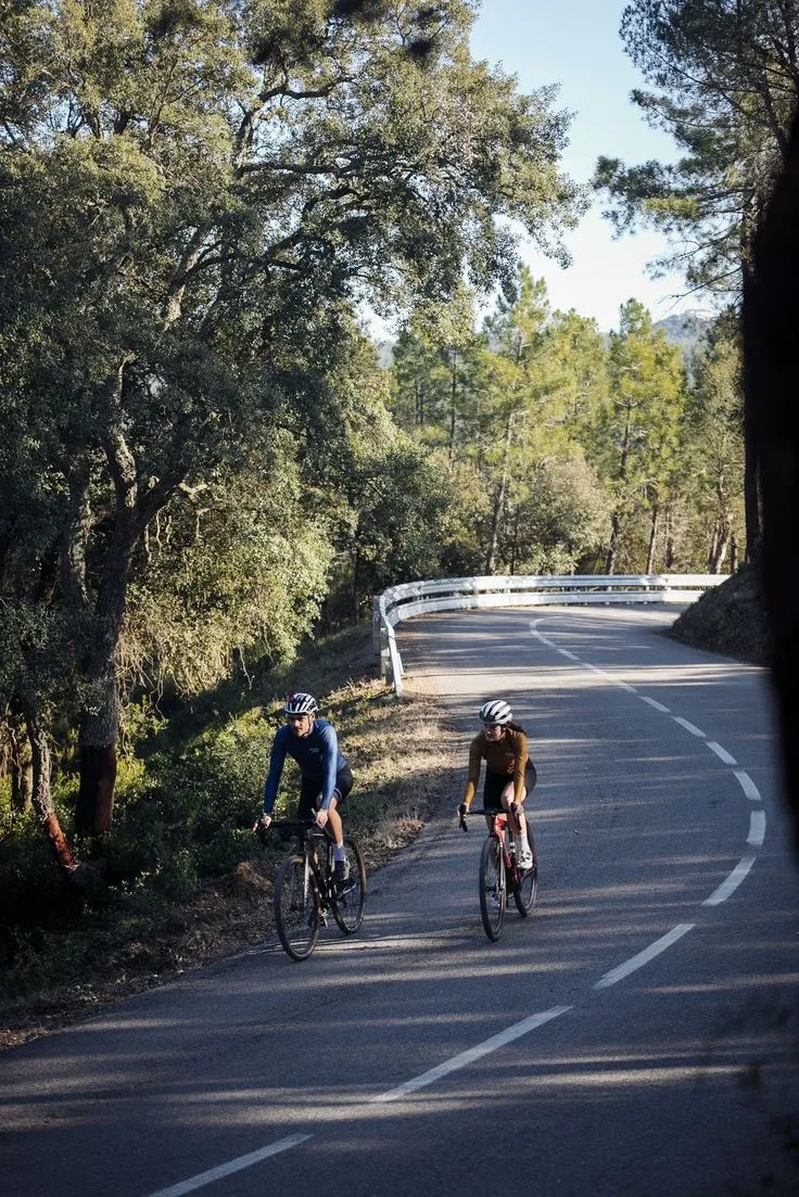 Cyclists riding along a winding country road